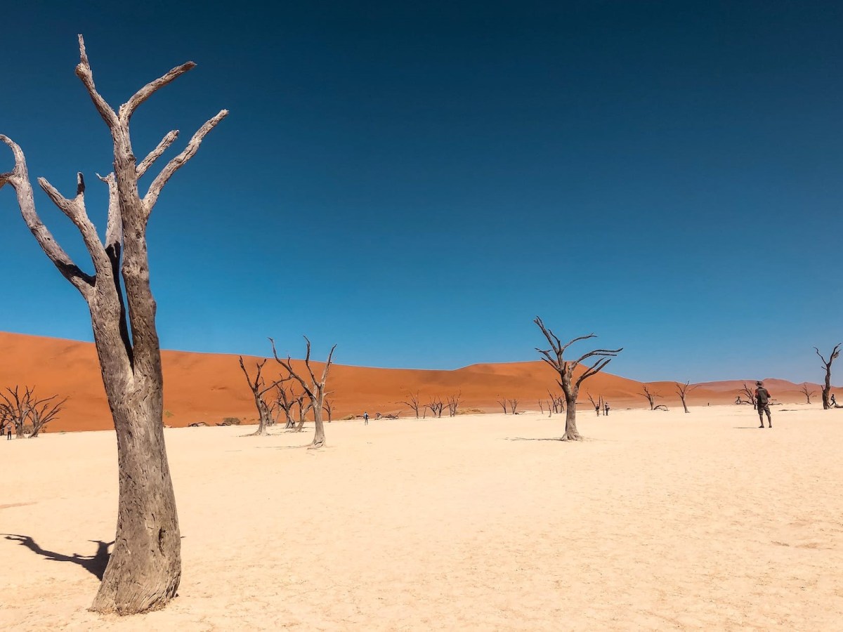 Climate Warriors: Illaramatak’s Stance on Environmental Conservation and Economic&nbsp;Transformation